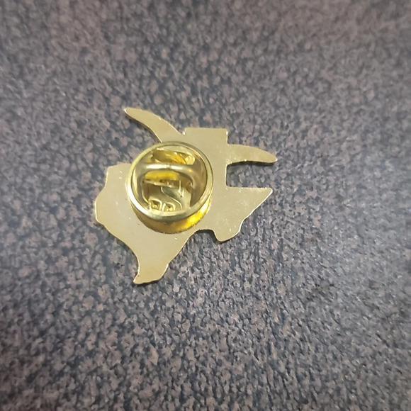 Stray horn one tough grandma Texas pin brooch golden - Picture 3 of 3
